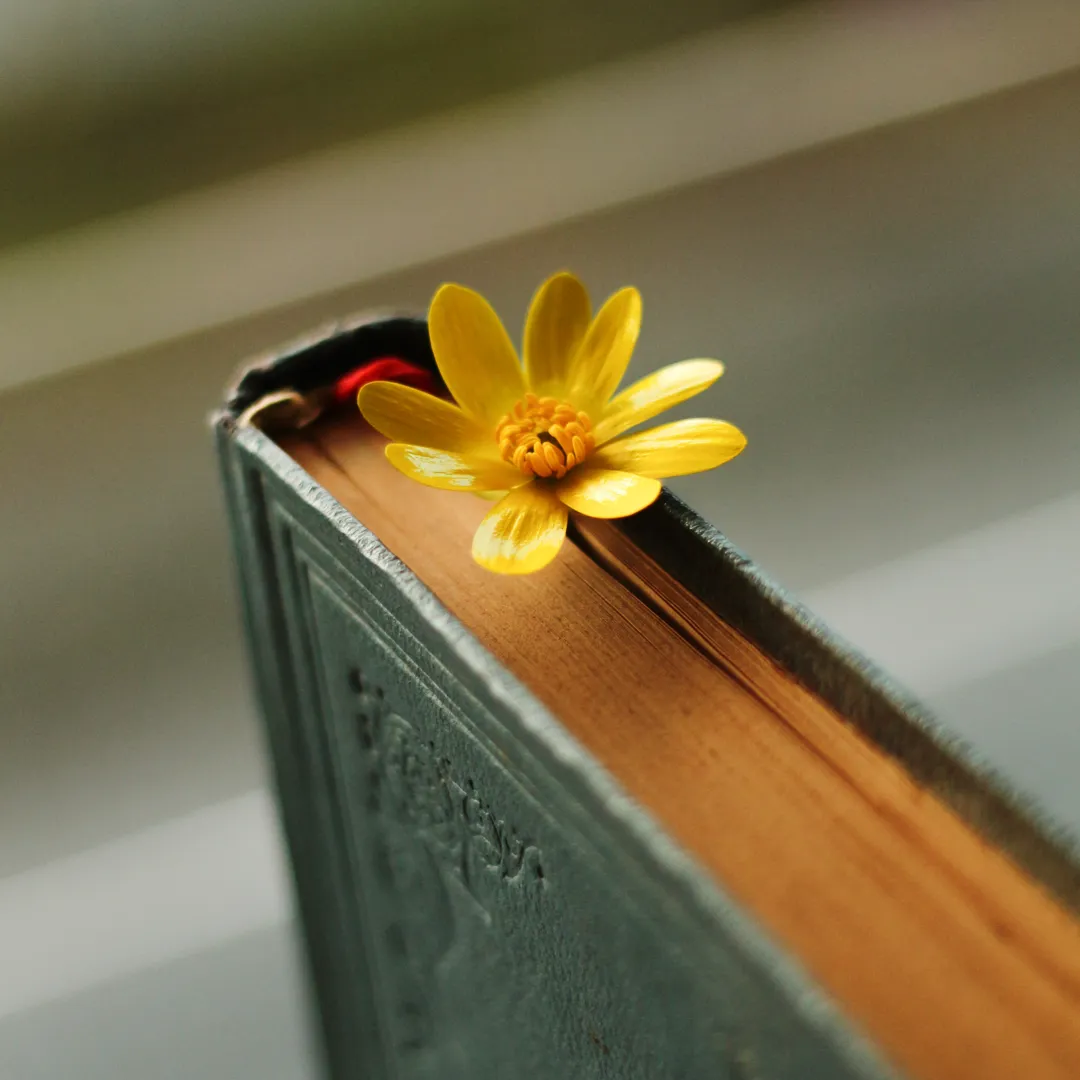 The Multidimensional Approaches of Sustainability in E-Learning